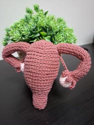 ÚTERO DE CROCHET